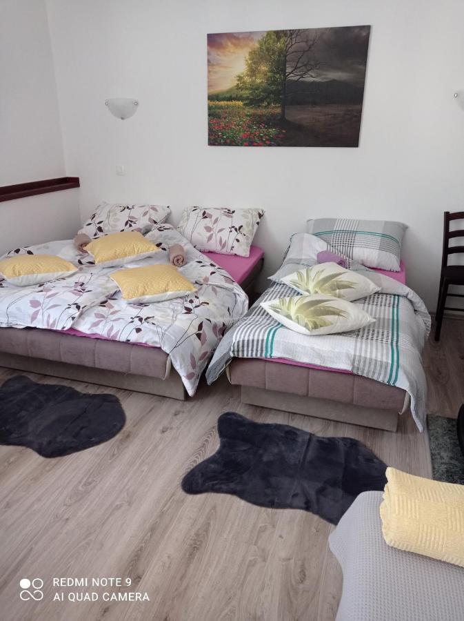 Studio Apartman Sonja Otočac Extérieur photo